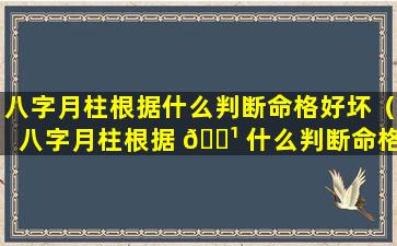 八字月柱根据什么判断命格好坏（八字月柱根据 🌹 什么判断命格好坏呢）